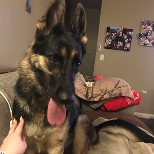 Meet your Posher, Lisa